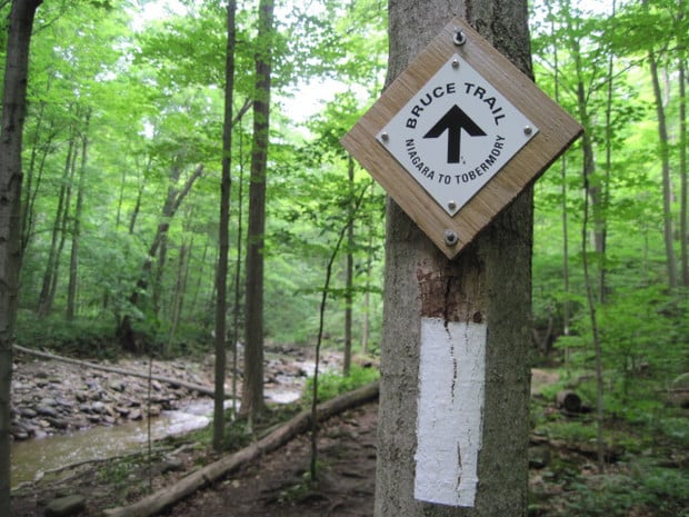 Bruce_Trail_Sign_and_Blaze_-_white