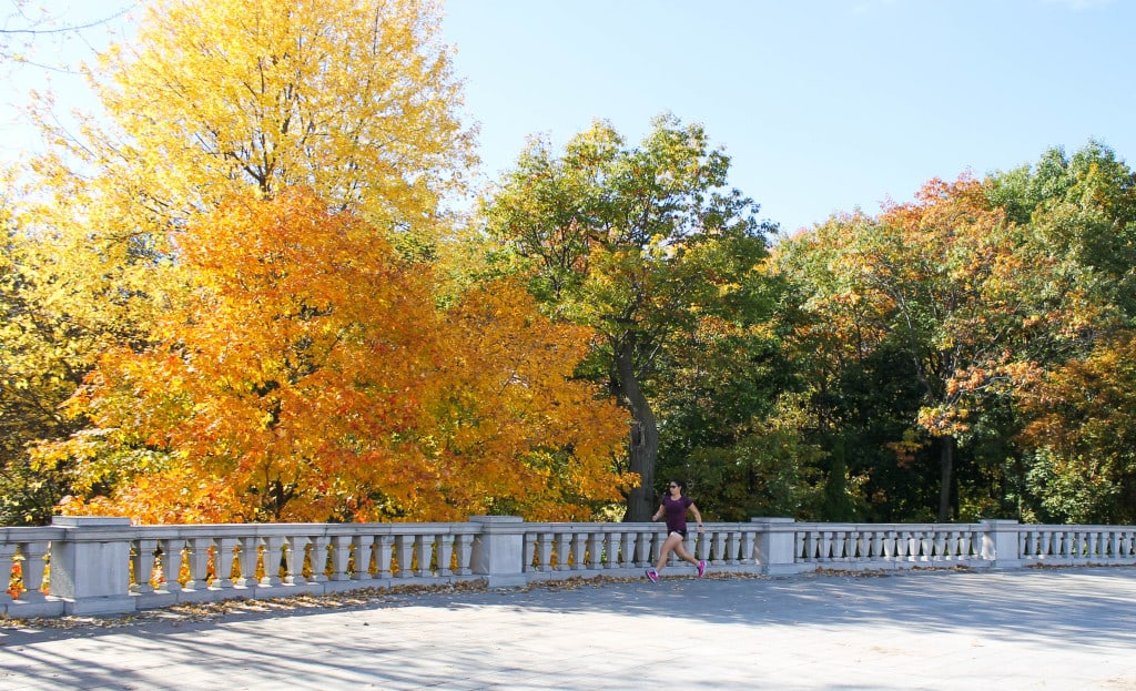 Where to run in Montreal (or walk!)