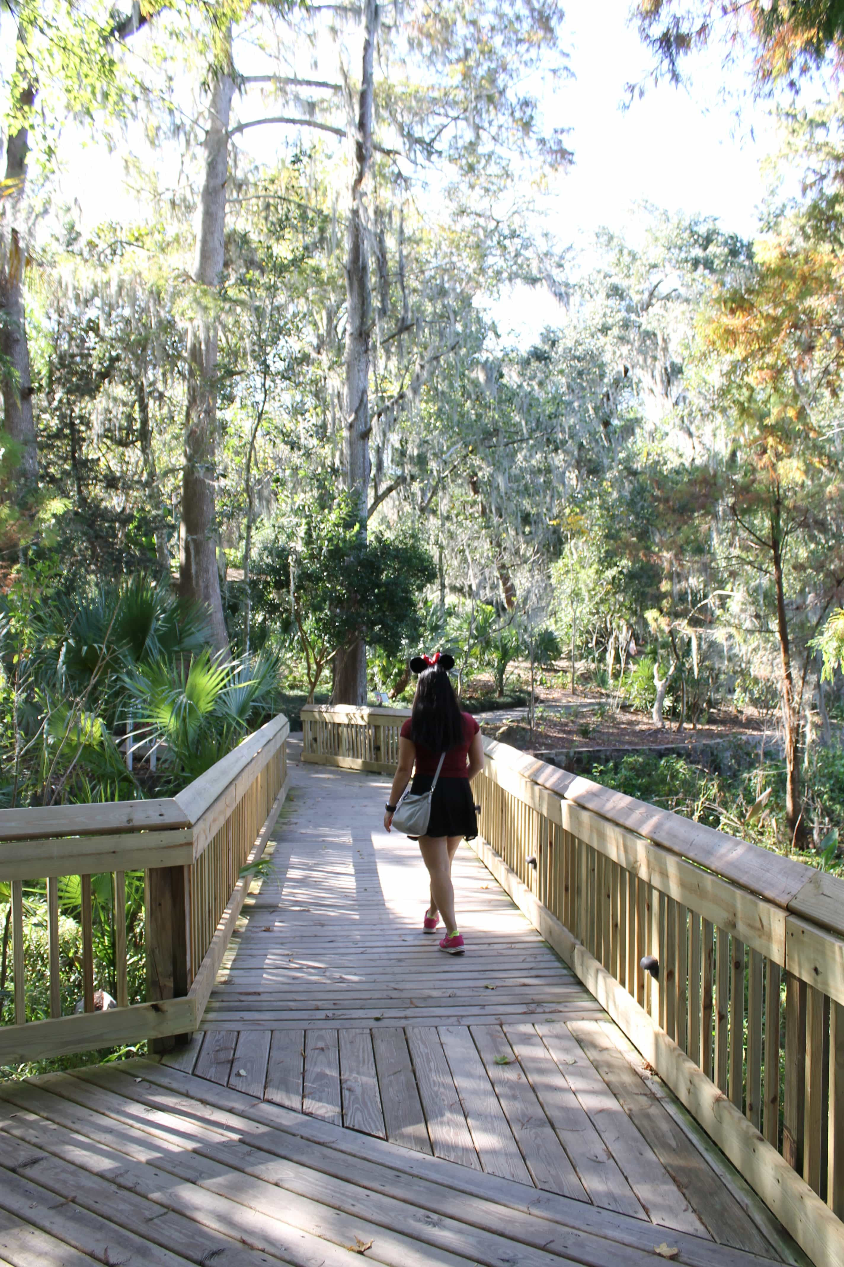 10 free things to do in Orlando